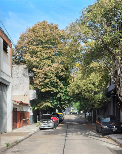 Monte Castro
