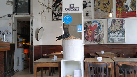 Cafe Nostalgia