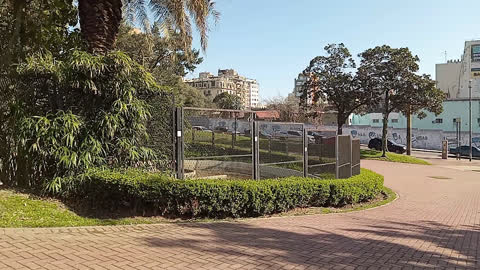 Ritmos en Parque Lezama (Plazas Activas)