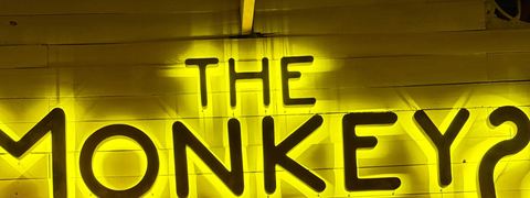 The Monkeys