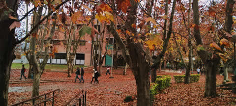 Universidad Nacional de Luján