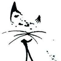 Gato Escaldado
