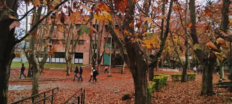Universidad Nacional de Luján